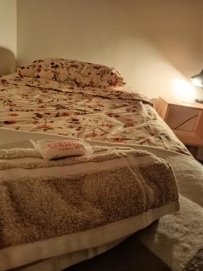 Hostal Del Centro En Slp San Luis Potosí Eksteriør billede