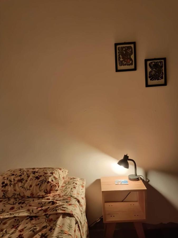Hostal Del Centro En Slp San Luis Potosí Eksteriør billede